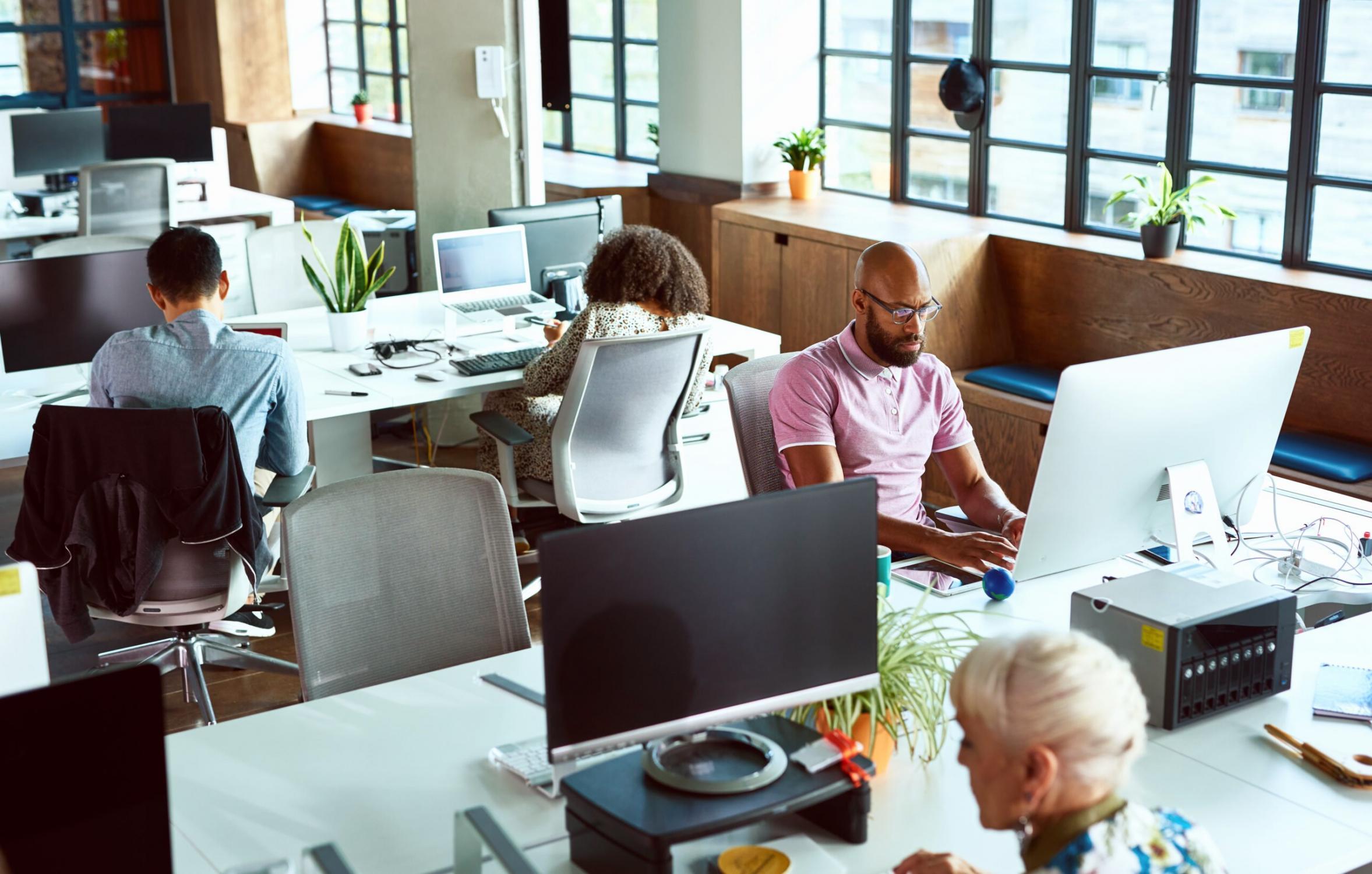 Kurs yapısı ve modül organizasyonu görseli